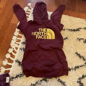 The north face sweatshirt